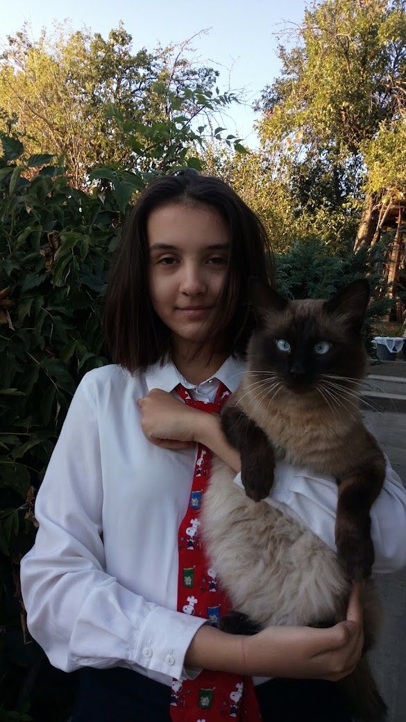 Photography 27